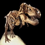 Dinosaurs Devour the iPhone