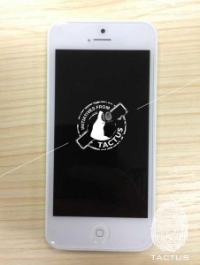 Budget iPhone Leaked