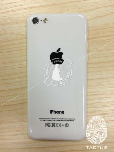 Budget iPhone Leaked