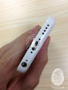 Budget iPhone Leaked