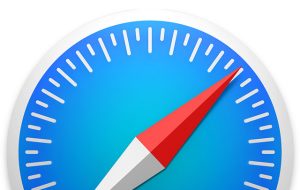 secure safari