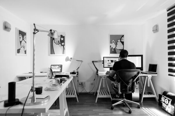 Professional Interior Designer