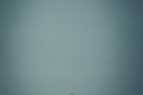 yellow lego minifig on white surface