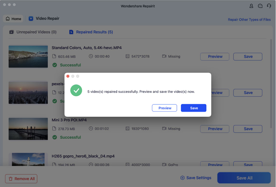 preview and save repaired videos