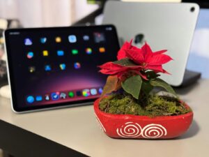 A potted plant sitting on a desk next to a laptop